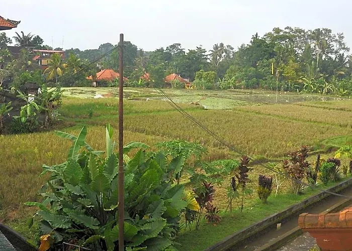 Candra Asri Bungalow! Free Early Check In!