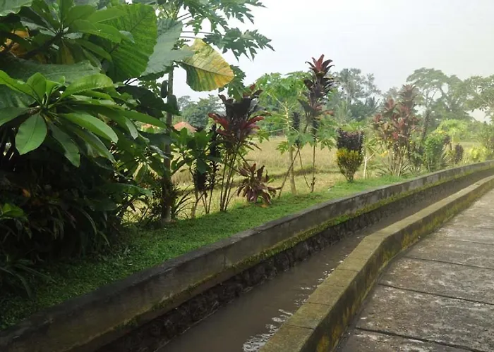 Candra Asri Bungalow! Free Early Check In! *